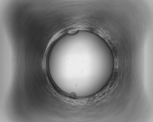 X0000116150004200911301550