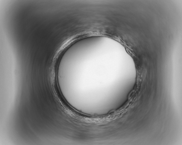 X0000116150005200911301550