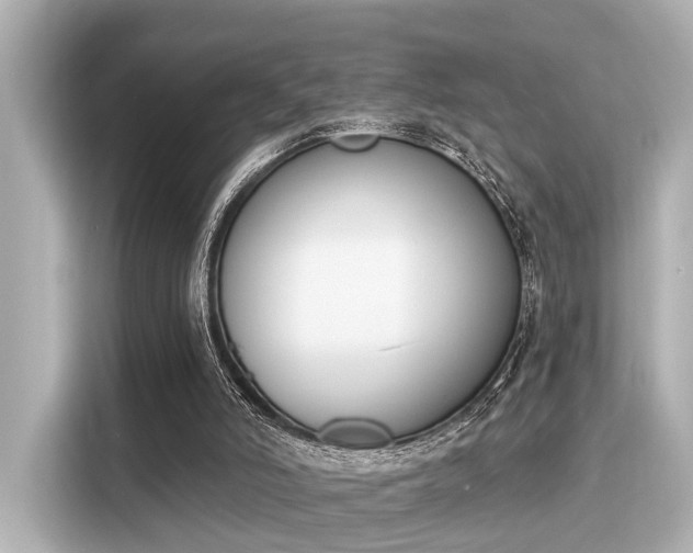 X0000116150006200911301550