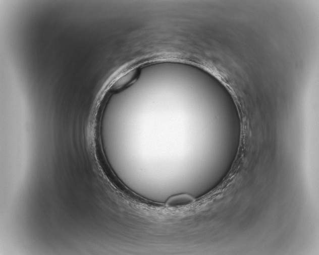 X0000116150007200911301550