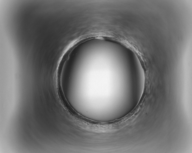 X0000116150008200911301550