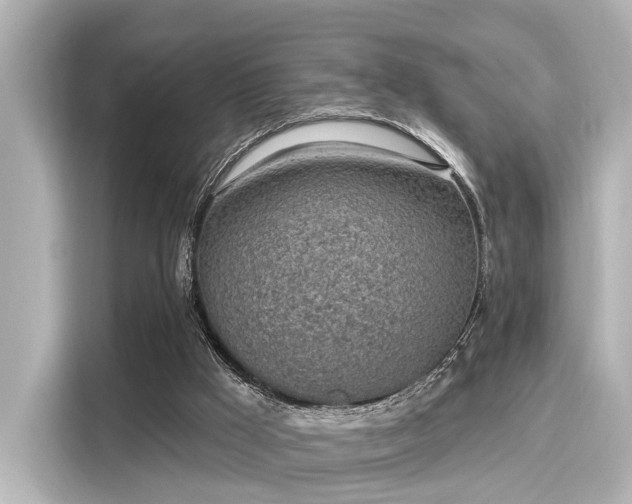 X0000116150009200911301550