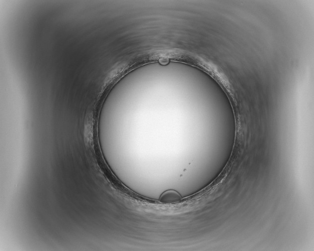 X0000116150010200911301550