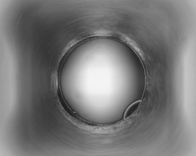 X0000116150011200911301550