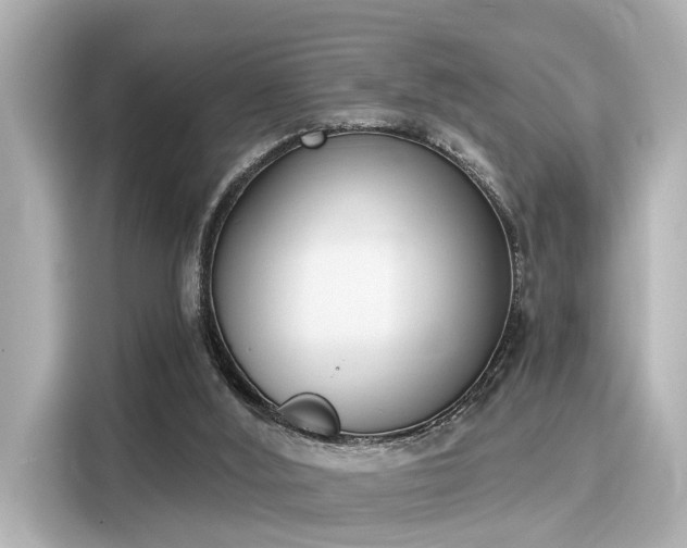 X0000116150012200911301550