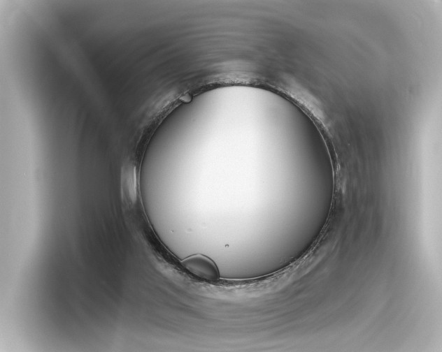 X0000116150013200911301550