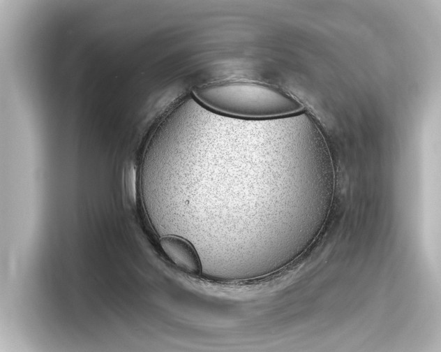 X0000116150014200911301550