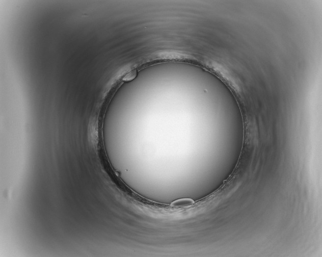 X0000116150015200911301550