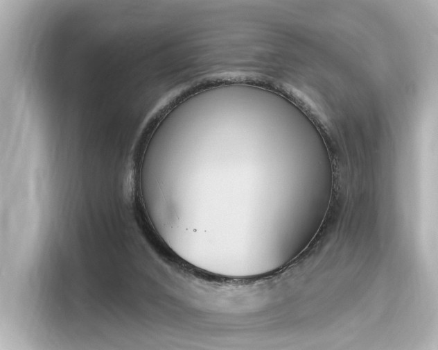 X0000116150016200911301550