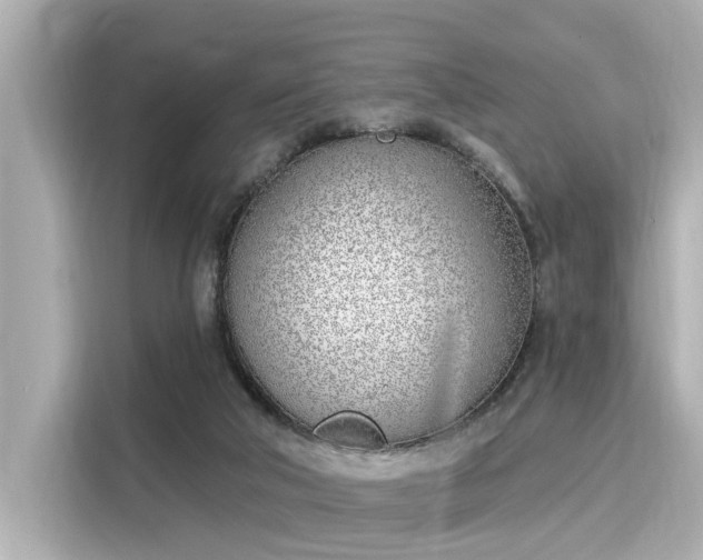 X0000116150018200911301550