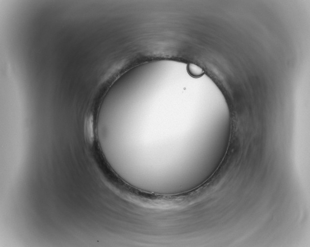 X0000116150020200911301550