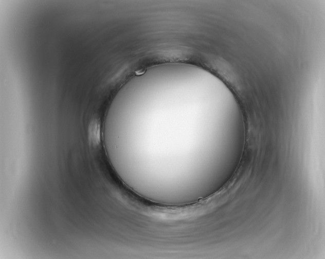 X0000116150021200911301550