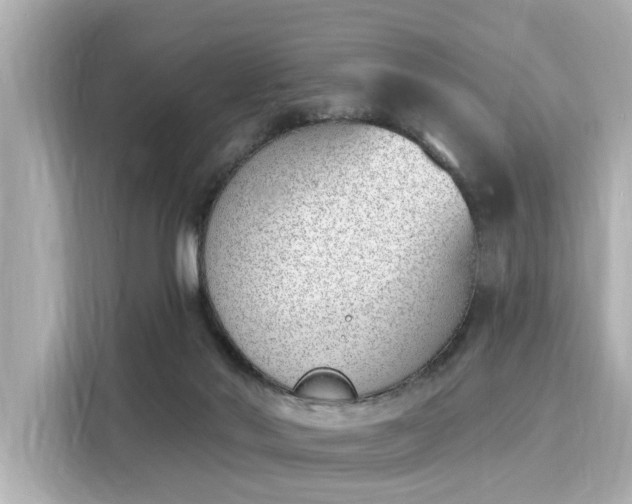 X0000116150022200911301550