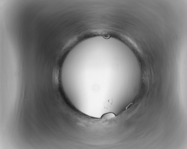 X0000116150023200911301550