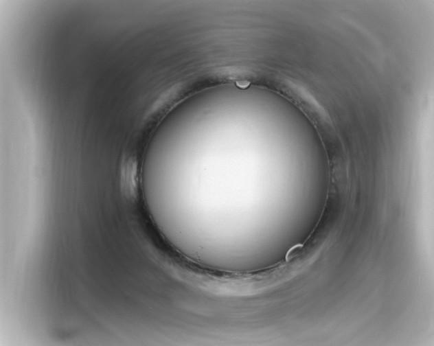 X0000116150024200911301550