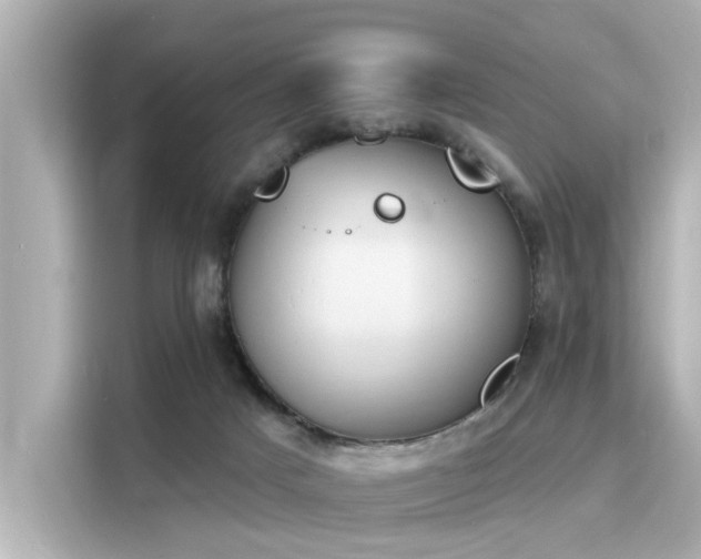 X0000116150025200911301550