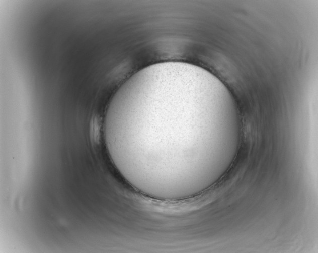 X0000116150026200911301550