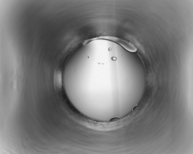 X0000116150027200911301550