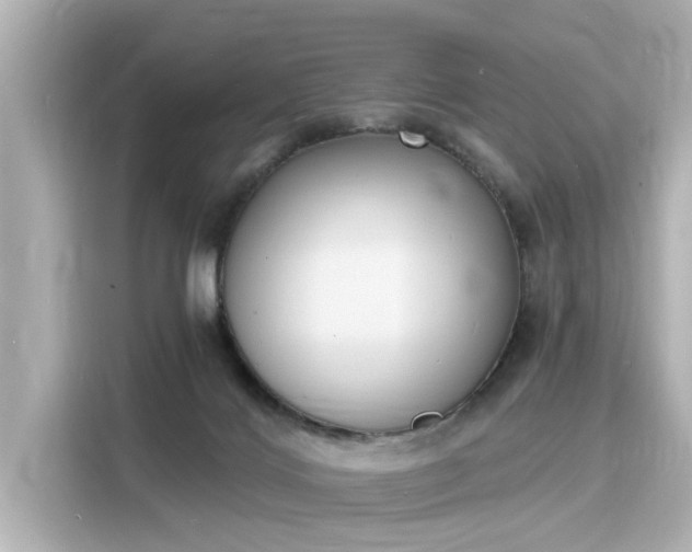 X0000116150028200911301550