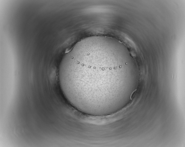 X0000116150029200911301550