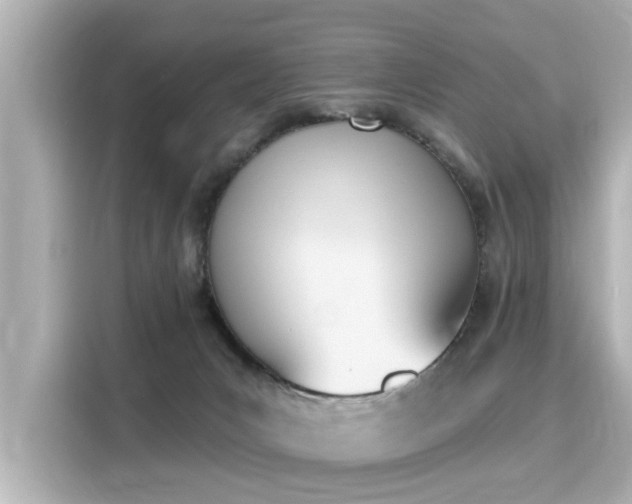 X0000116150031200911301550