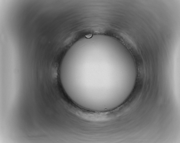 X0000116150032200911301550