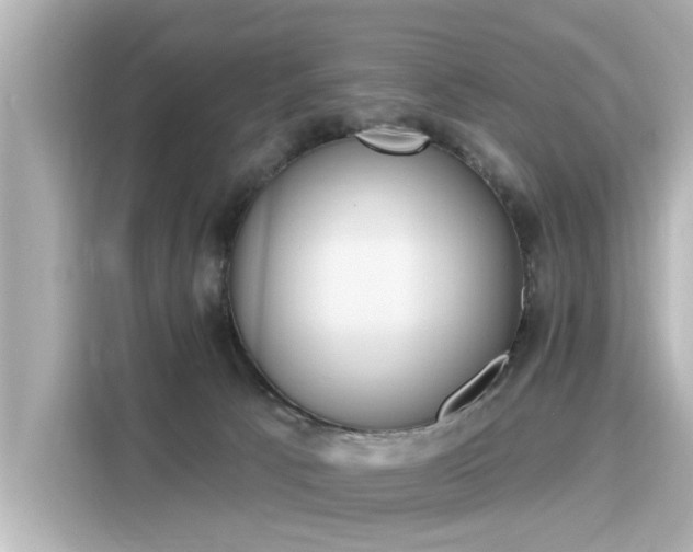 X0000116150033200911301550