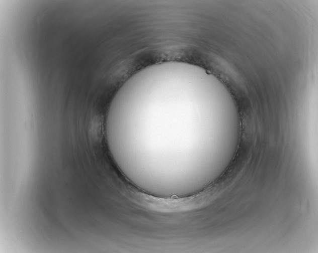 X0000116150034200911301550