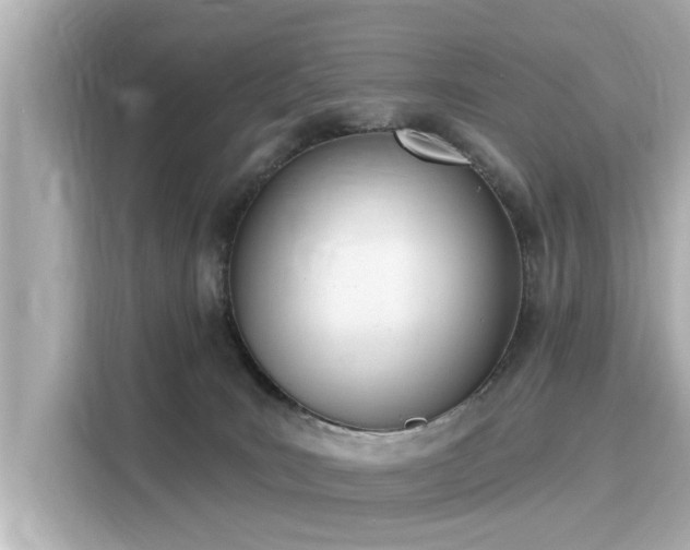 X0000116150035200911301550