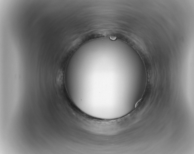 X0000116150036200911301550