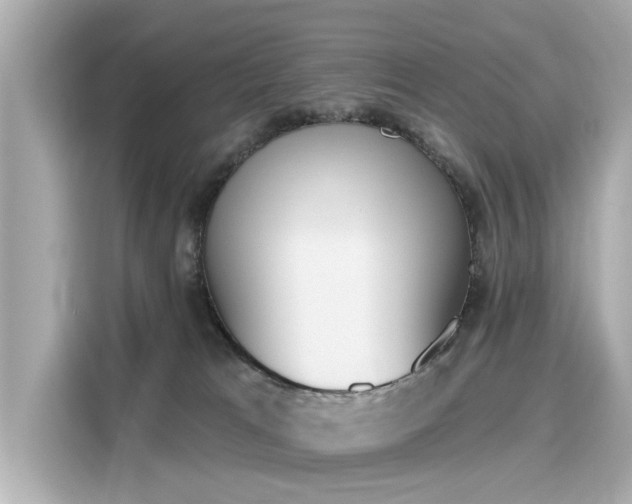 X0000116150037200911301550