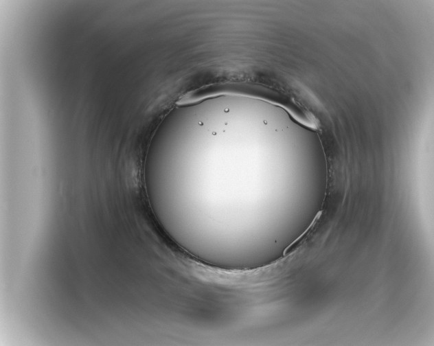 X0000116150039200911301550