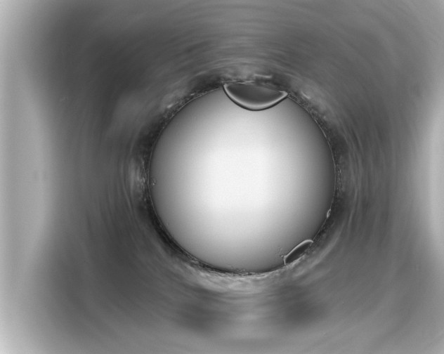 X0000116150040200911301550