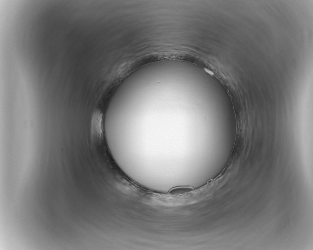 X0000116150041200911301550