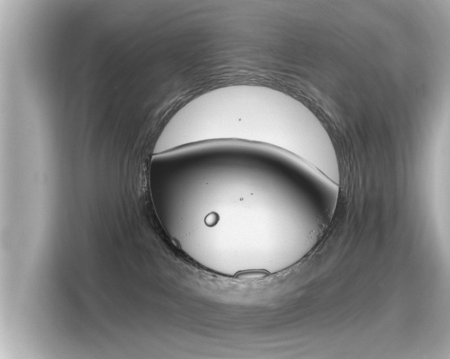 X0000116150043200911301550