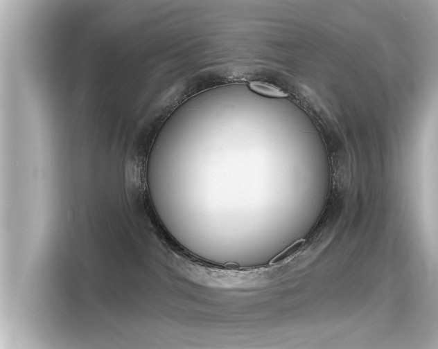 X0000116150044200911301550