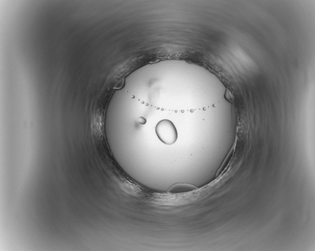 X0000116150045200911301550