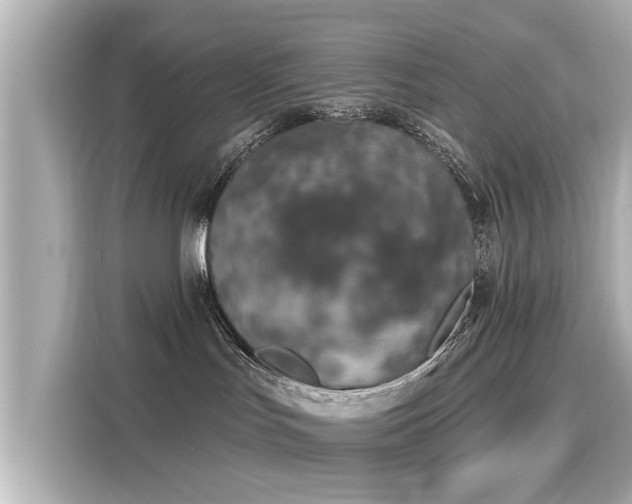 X0000116150047200911301550