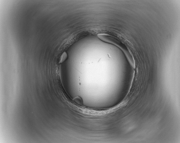 X0000116150048200911301550