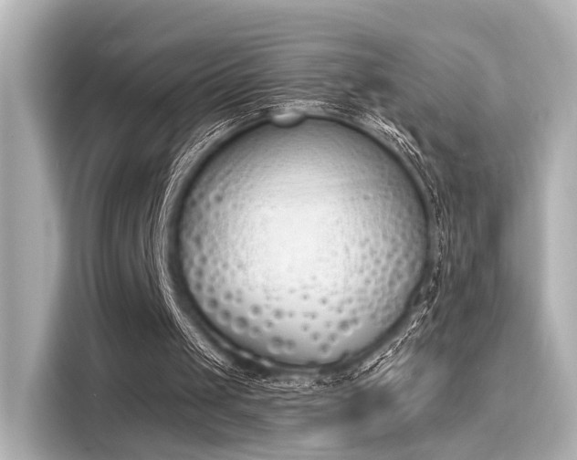 X0000116150049200911301549