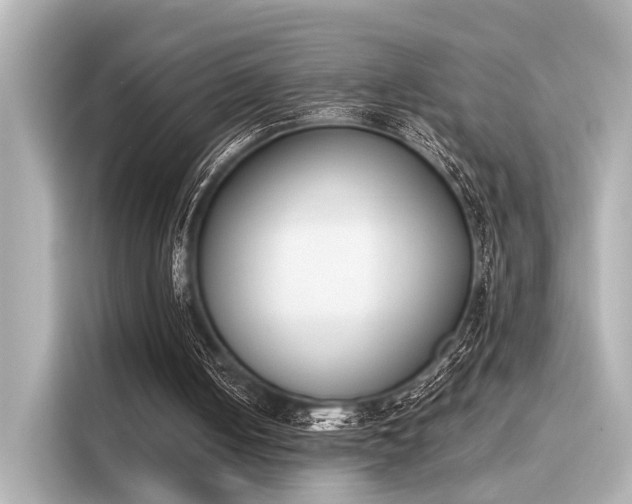 X0000116150050200911301549