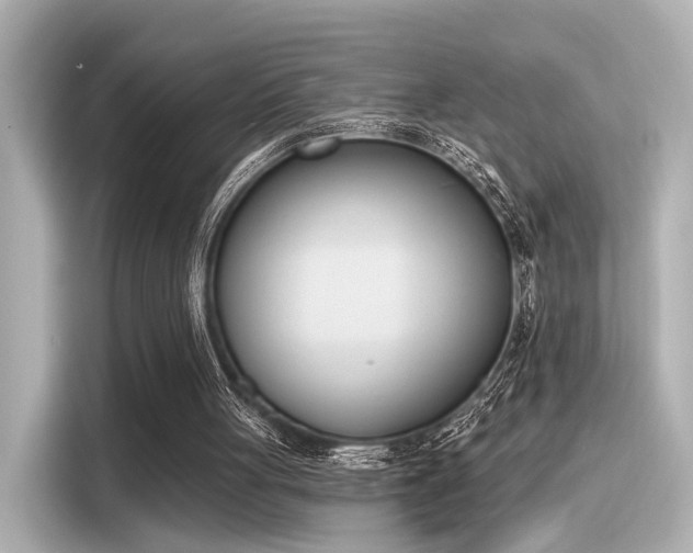 X0000116150051200911301549