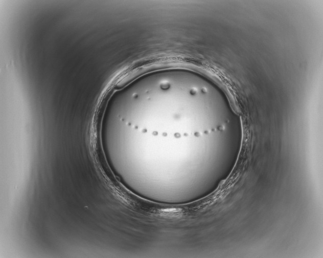 X0000116150053200911301549