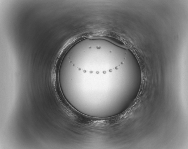 X0000116150054200911301549