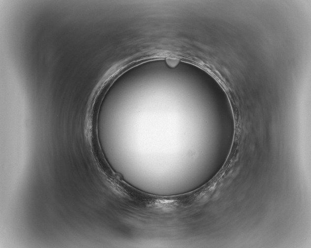 X0000116150055200911301549