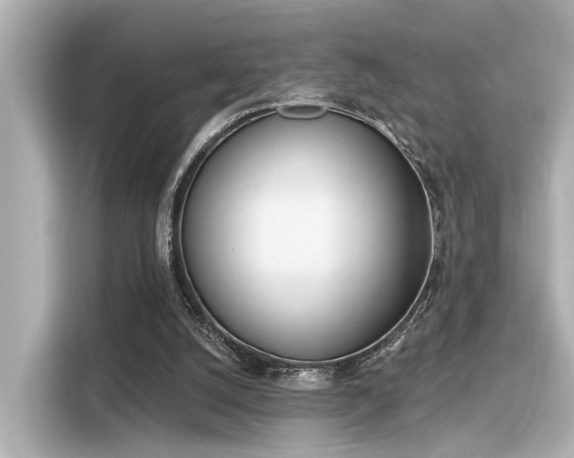 X0000116150056200911301549