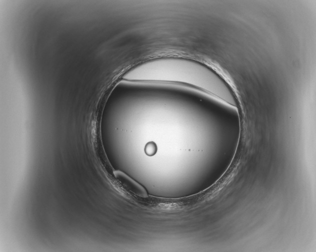 X0000116150057200911301549