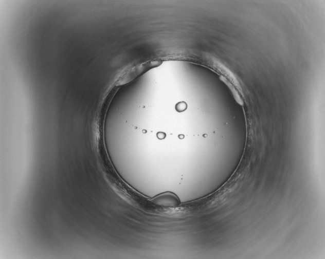 X0000116150059200911301549