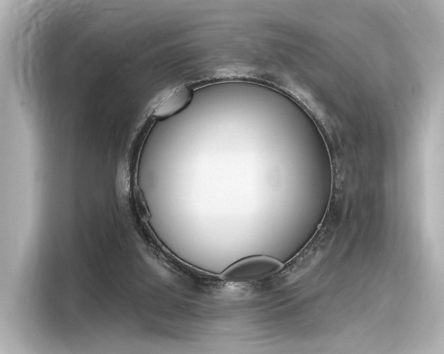 X0000116150060200911301549