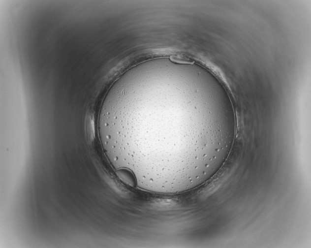 X0000116150061200911301549